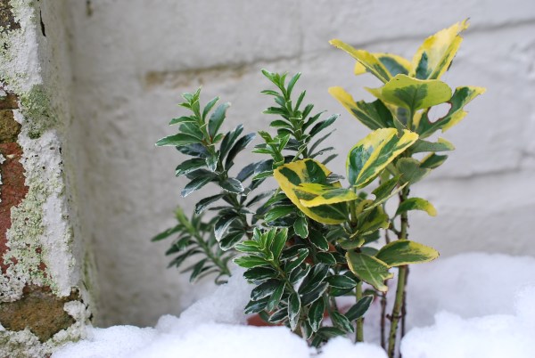 Practice with new tripod