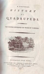 The history of the quadruped by Thomas Berwick
