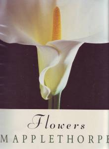 Flower by Robert Maplethorpe