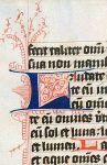 220px-Flourished_initial_-L-_from_a_medieval_manuscript