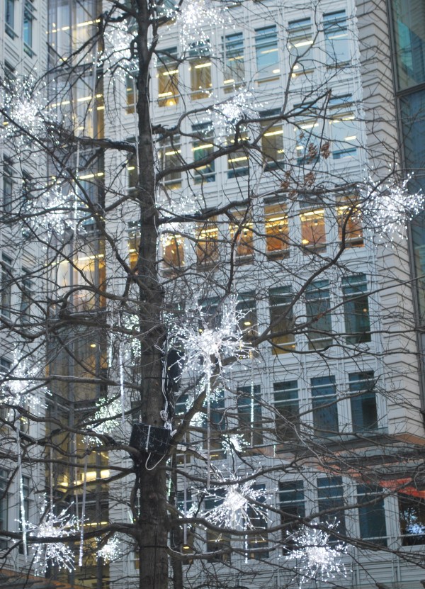 2012-12-15 01.10.19-1