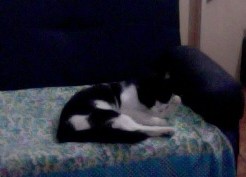 Photo on 2013-08-17 at 06.59