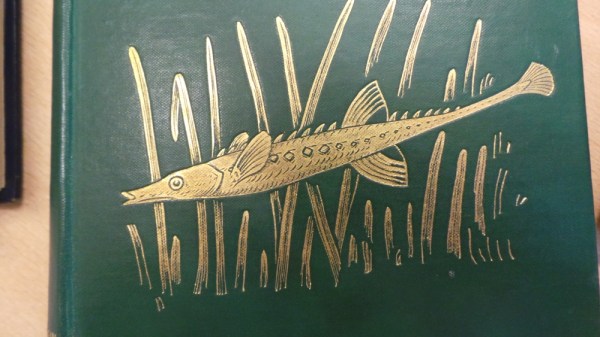 An outline of the natural history of our shores by J. Sinel